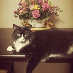 Meet your Posher, Stacy